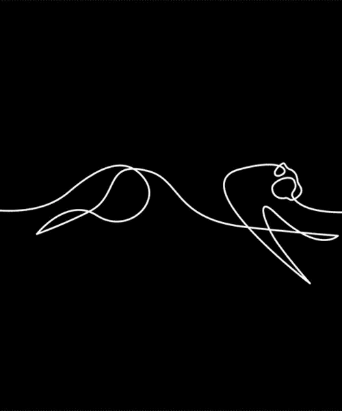 single-line moving animation series by loooop studio pays tribute to wildlife