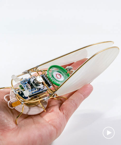 anne niemetz's kihikihi electronic insect orchestra composes interactive sound installation