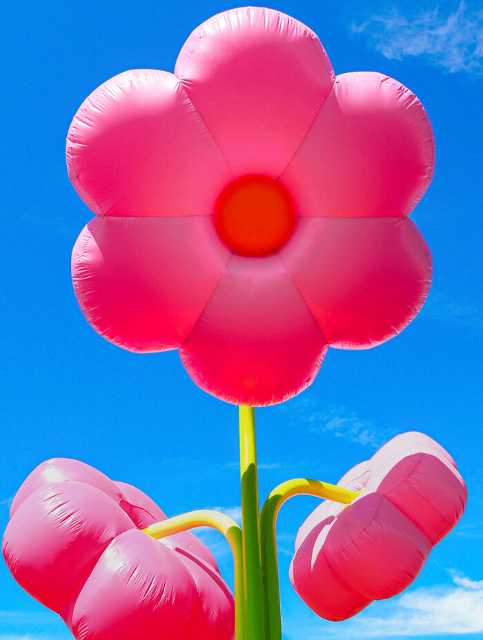 BLOOM | designboom